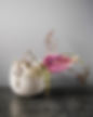EA5DBD6D-1253-4680-A077-7ABAB420AFA2.JPG