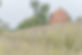 LavField.jpeg