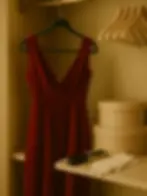 hrazs-vertical-garderobshchitsa-wardrobe-attendant-golden-closet-red-dress-velvet-hanger-l