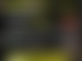 ceramic coating training flyer for detailers in orlando with diamond protech and black v detail supplies promoting spanish course on november 22