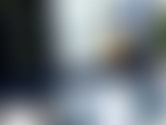 Web Design Orlando: 7 Features Your Website Needs to Convert Visitors into Customers