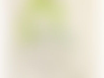 初めてのアシスタント