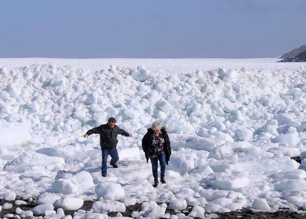 Two people walking away from a large ice wall that extends the length of the shoreline at Middle Cove Beach, NL.