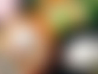 Explorando a Gastronomia e seus Cursos Online - 11