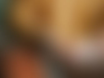 Plano de Negócios - Sua oportunidade é real?