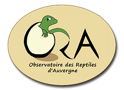 logo-ora_300ppi_fond-transparent.png