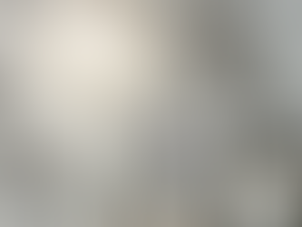 โฆษณาบ้านจัดสรร MAGNOLIA