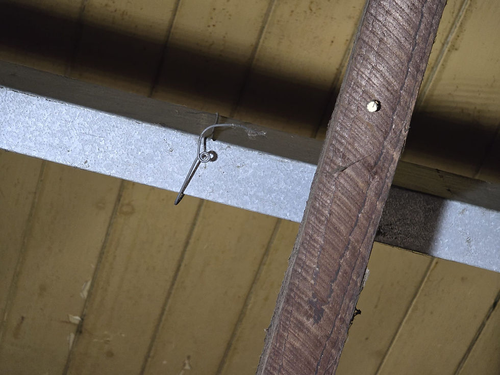 Inspection of suspended ceiling grid and ceiling tiles in commercial building