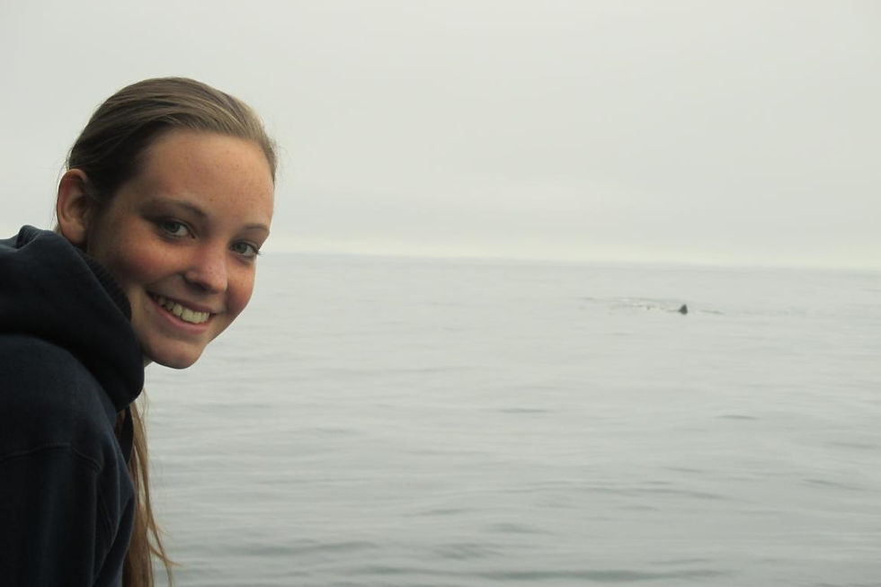 Whale watching in Kaikoura