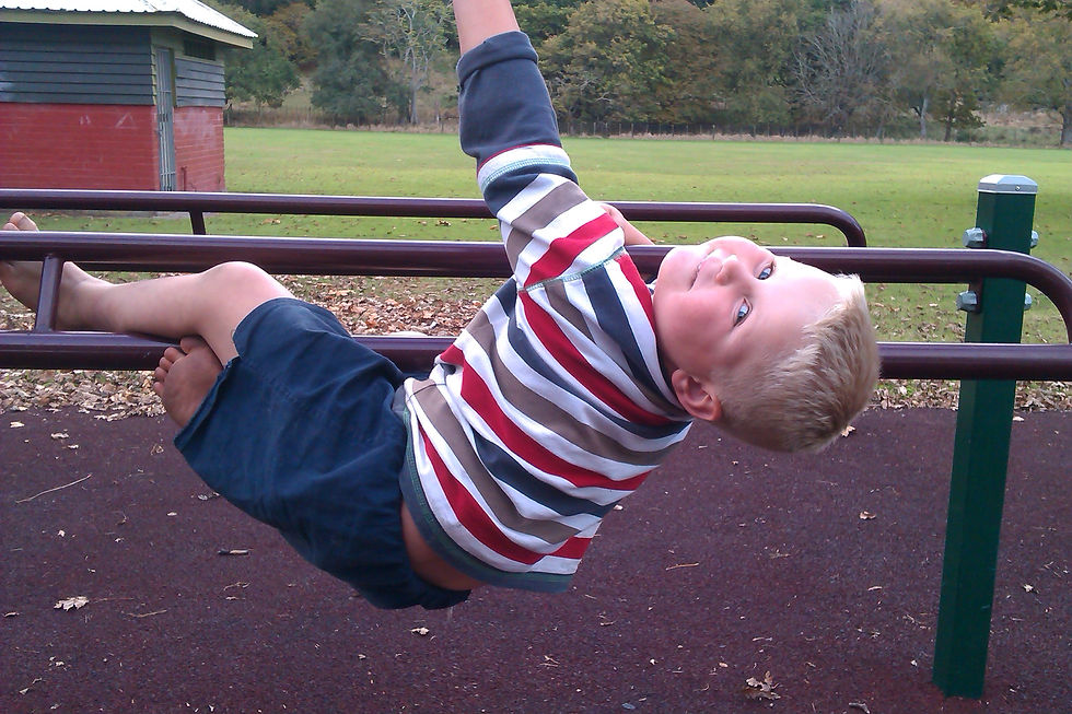 Faultier im Peak ST Park :)