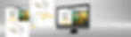 Professional web design services showcasing SEO-optimized websites, digital marketing integration, branding, and paid media s