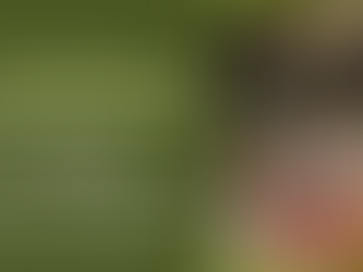 De los bailes cantaos: el bullerengue autóctono, nativo y ancestral