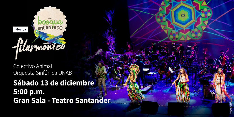 Bosque Encantado Filarmónico en el Teatro Santander – Música, Naturaleza y Magia