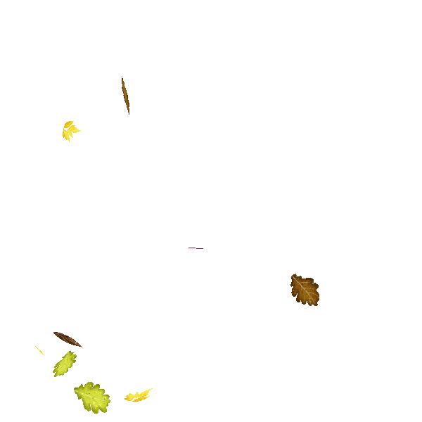 source.gif