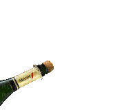 1581653_d620c.gif