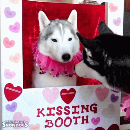 happy-valentine-be-my-valentine.gif