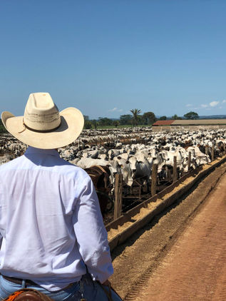 Como funciona a formação no Curso Técnico em Agropecuária?