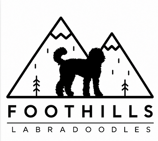Foothills Labradoodles Logo