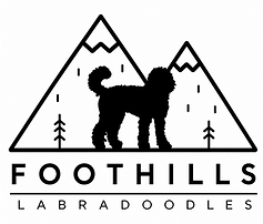 Foothills Labradoodles Logo