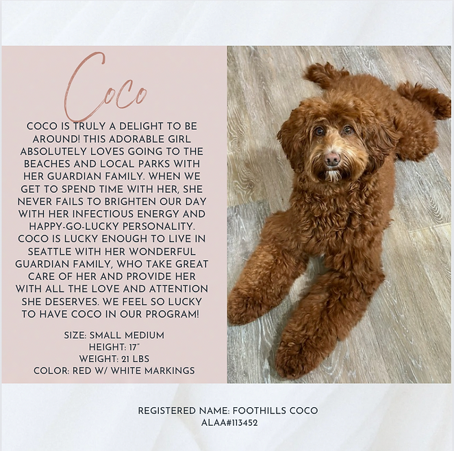 Screen Shot 2023-07-10 at 6.51.27 AM.png