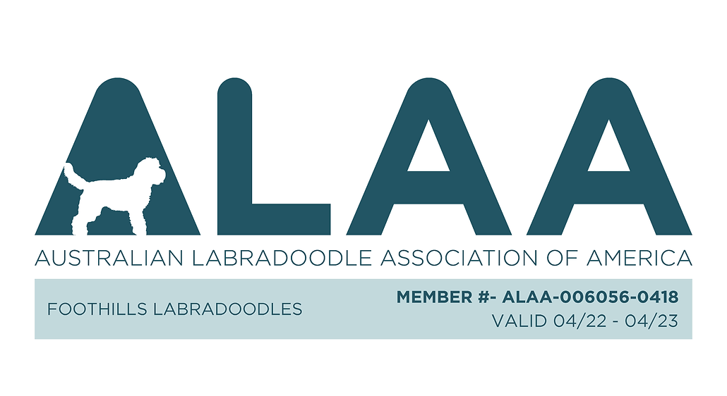 Foothills ALAA LOGO 2022.png.webp