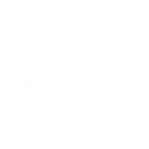 Washington State labradoodle breeder