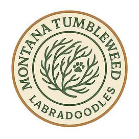 Tumbleweed Logo.jpeg