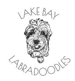 Image 4-13-26 at 3.39 PM.jpeg