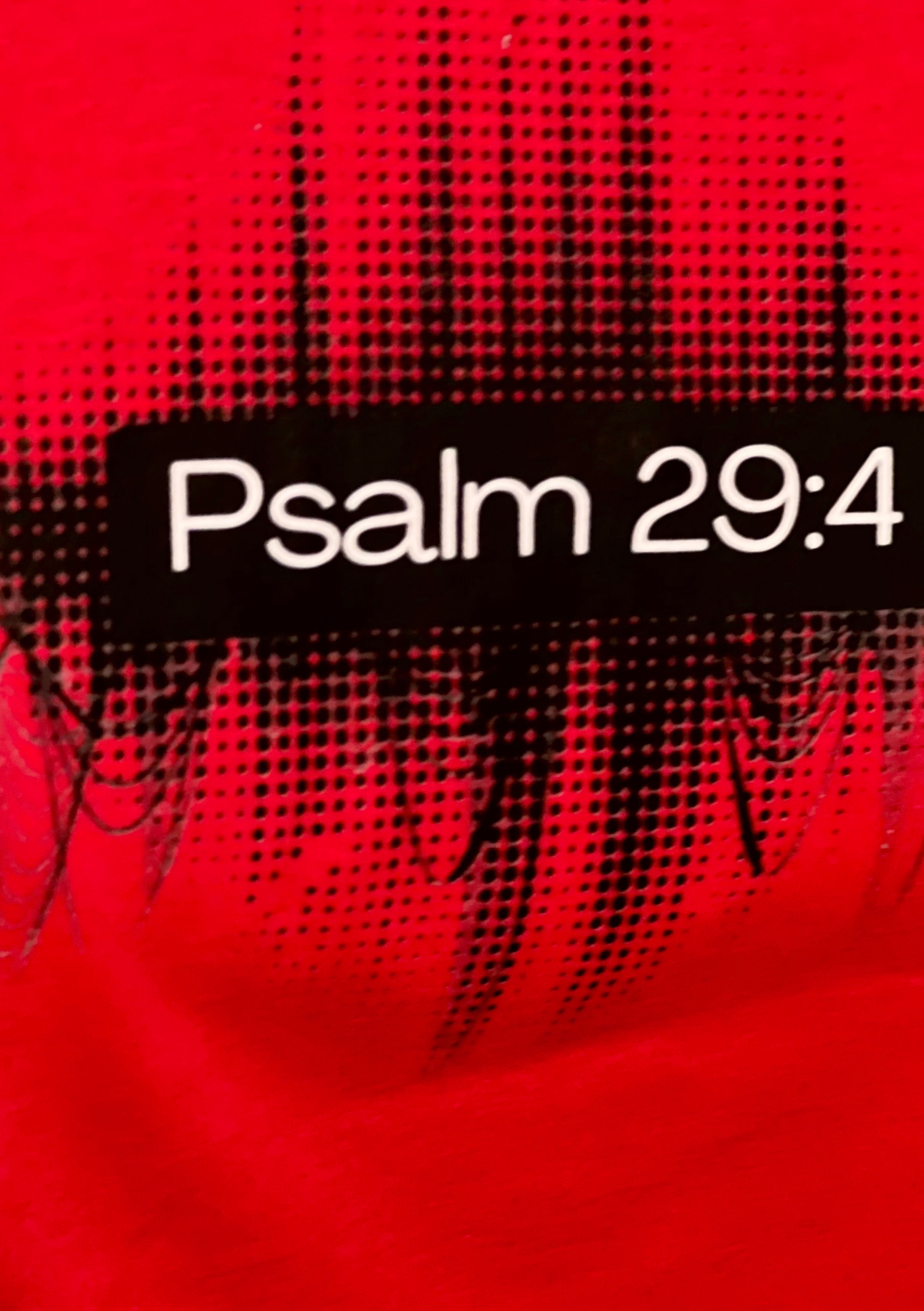 "Psalm 29:4 Kids Tee"