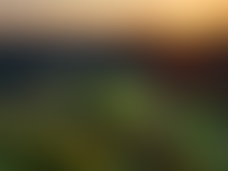 Creative Ways to Make Money From Your Land Investment While You Hold It