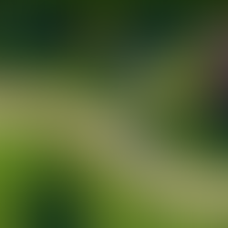 Maximizing Tenant Satisfaction with Smart Yard Care Strategies in 2024