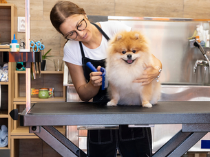 Zero % Credit Card Processing for Pet Grooming Businesses