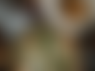 What to Order at Pubblico: Signature Pastas, Wood-Fired Pizzas, and Seafood Favorites Locals Love