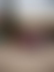 Calçotada 2022: Una jornada perfecta