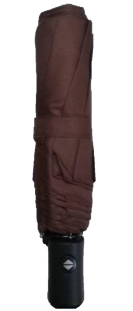 AUTO UMBRELLA