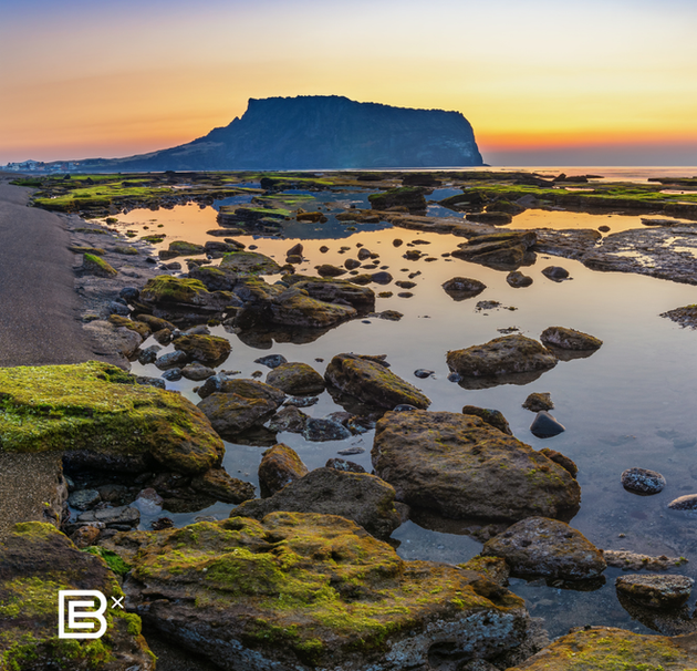 Brompton Tours South Korea Jeju 5