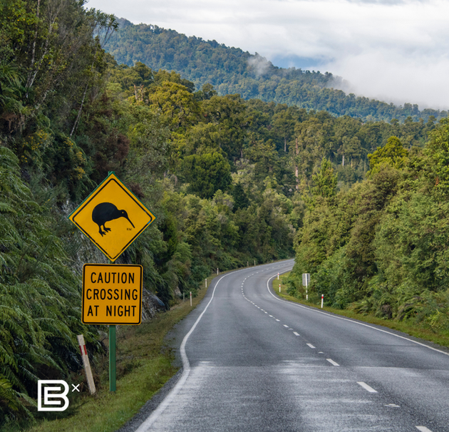 Brompton Tours New Zealand Auckland 6