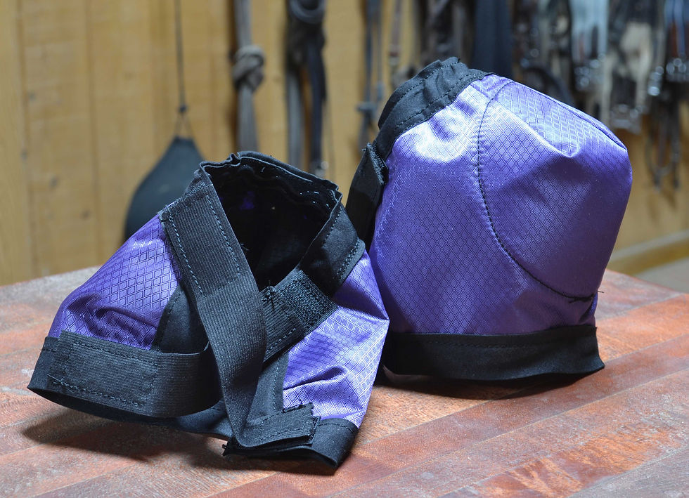 Thumbnail: Happy Hock H2O