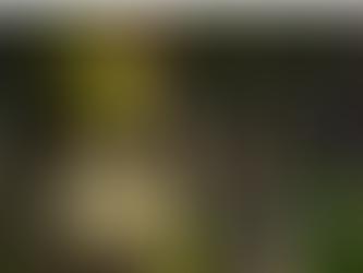 10 Best Animated Movies Of The 2000s (That Aren't Disney)