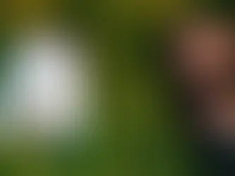 Warner Bros Pictures Animation Inks First-Look Deal With Locksmith Animation