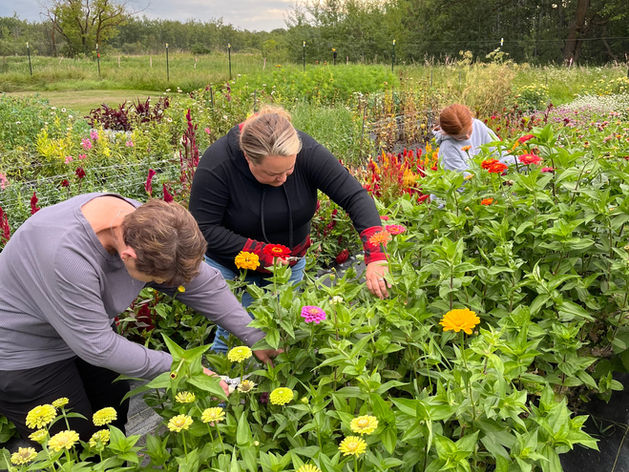 Klasen’s Greenhouse is a garden center, providing landscaping, plant nurseries and an abundant greenhouse full of flowers