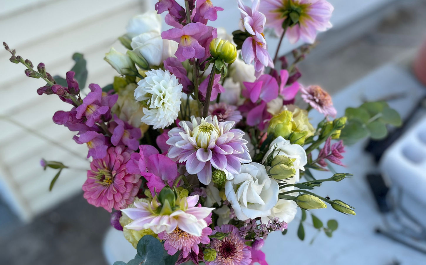 plant nursery near me