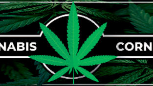 THE STATE OF N.M. CANNABIS: An Interview With CCD’s Heather Brewer
