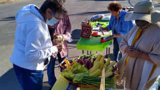 Talpa Community Market: Small Market, Big Heart