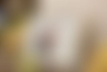 婚禮紀錄-婚攝Q比-台中雅園新潮龍鳳廳