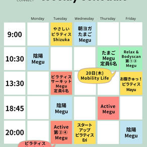 11月レッスンスケジュール