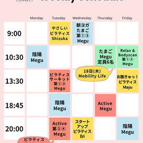 12月スケジュール