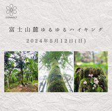 富士山麓ゆるゆるハイキング