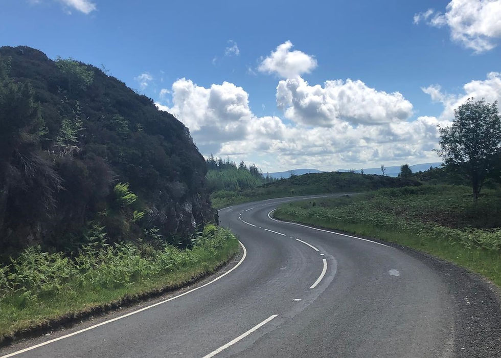 A winding road leads through lush greenery under a bright blue sky, symbolising the journey towards a promising future.