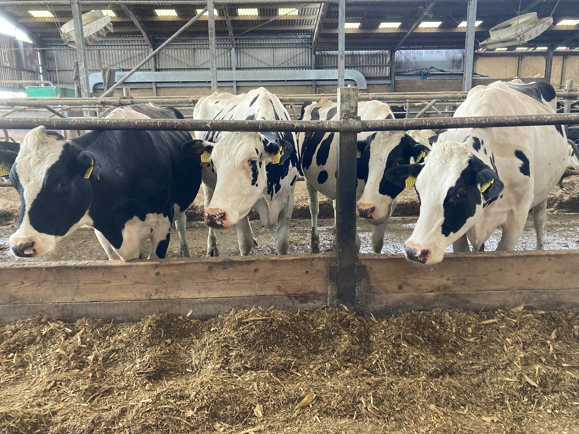 Visited uni research farms